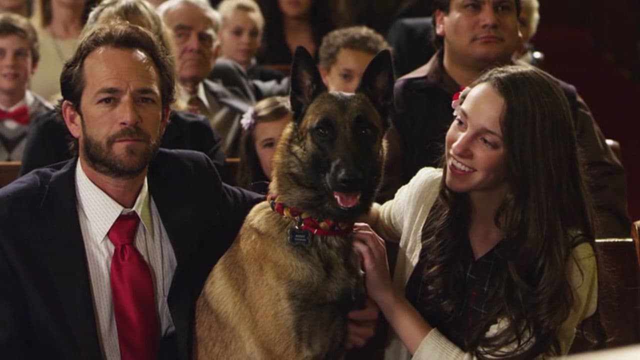 K-9 Adventures Collection