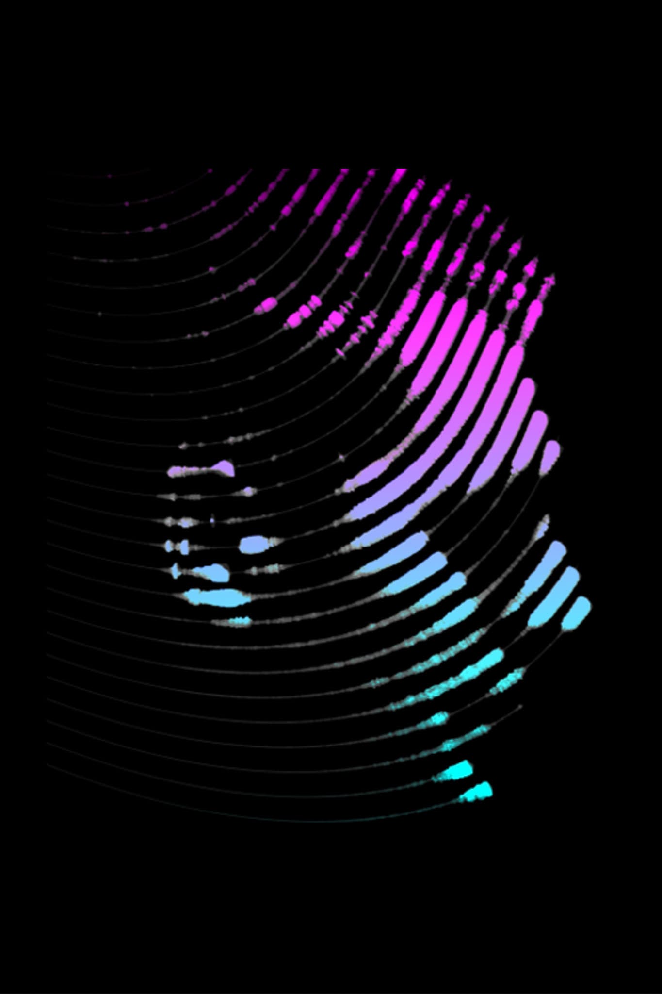Electronic Voyager: Retracing Bob Moog's Sonic Journey
