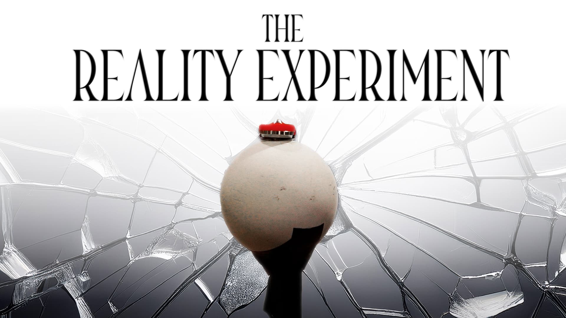 The Reality Experiment