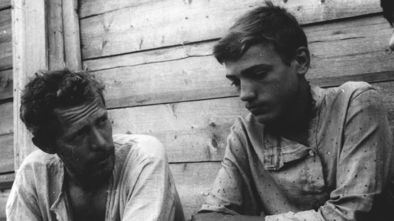 The Homeland of Electricity