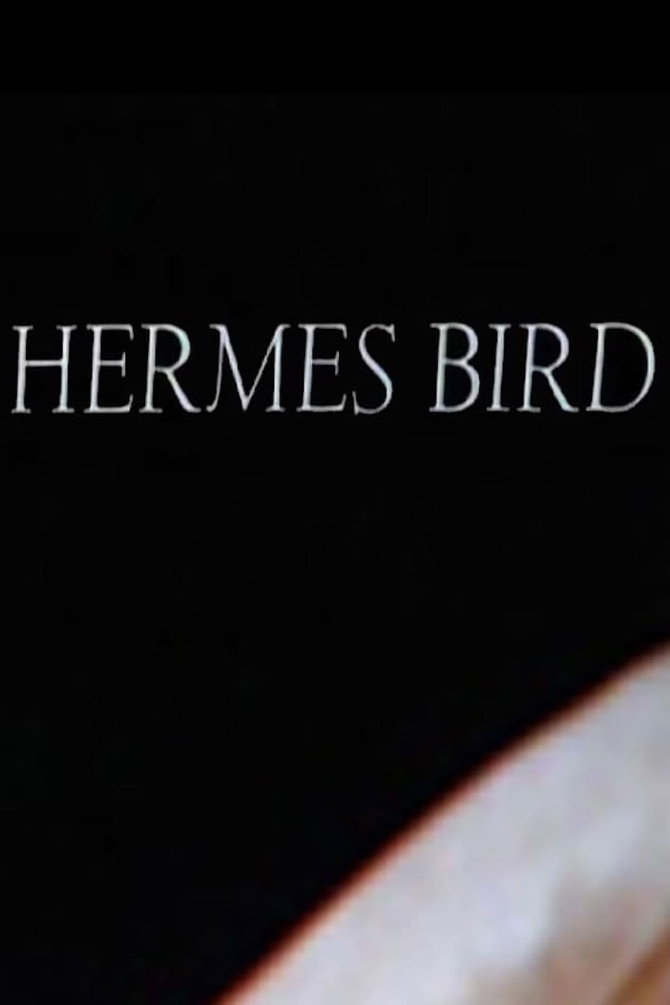Hermes Bird
