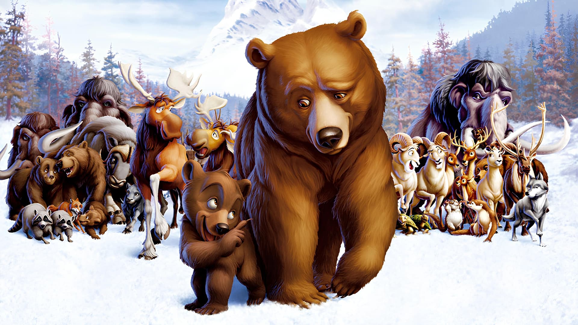 Brother Bear Collection