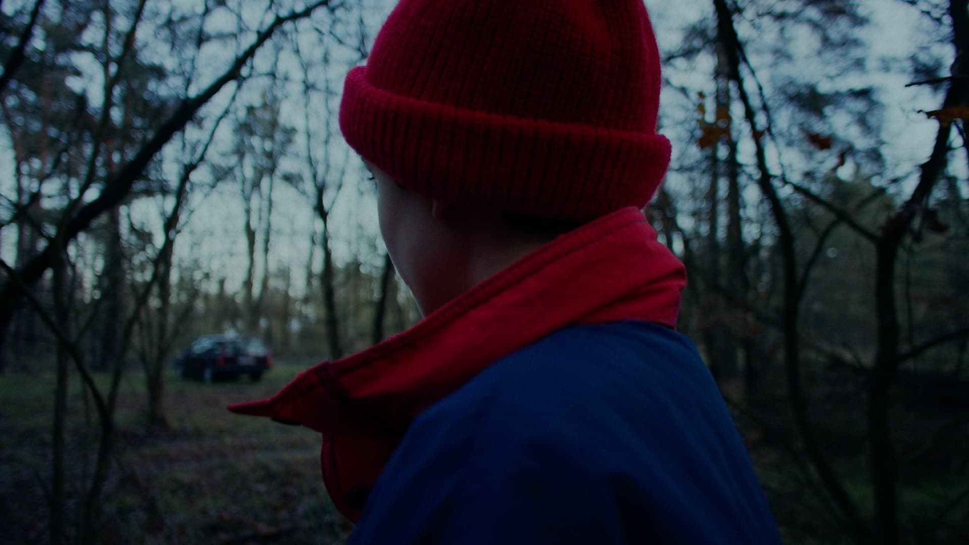 A Blackbird Sat on a Branch
