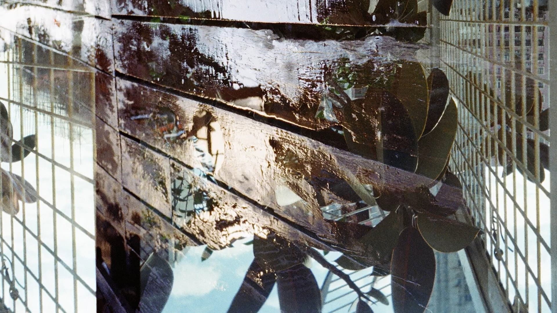 Reverberation