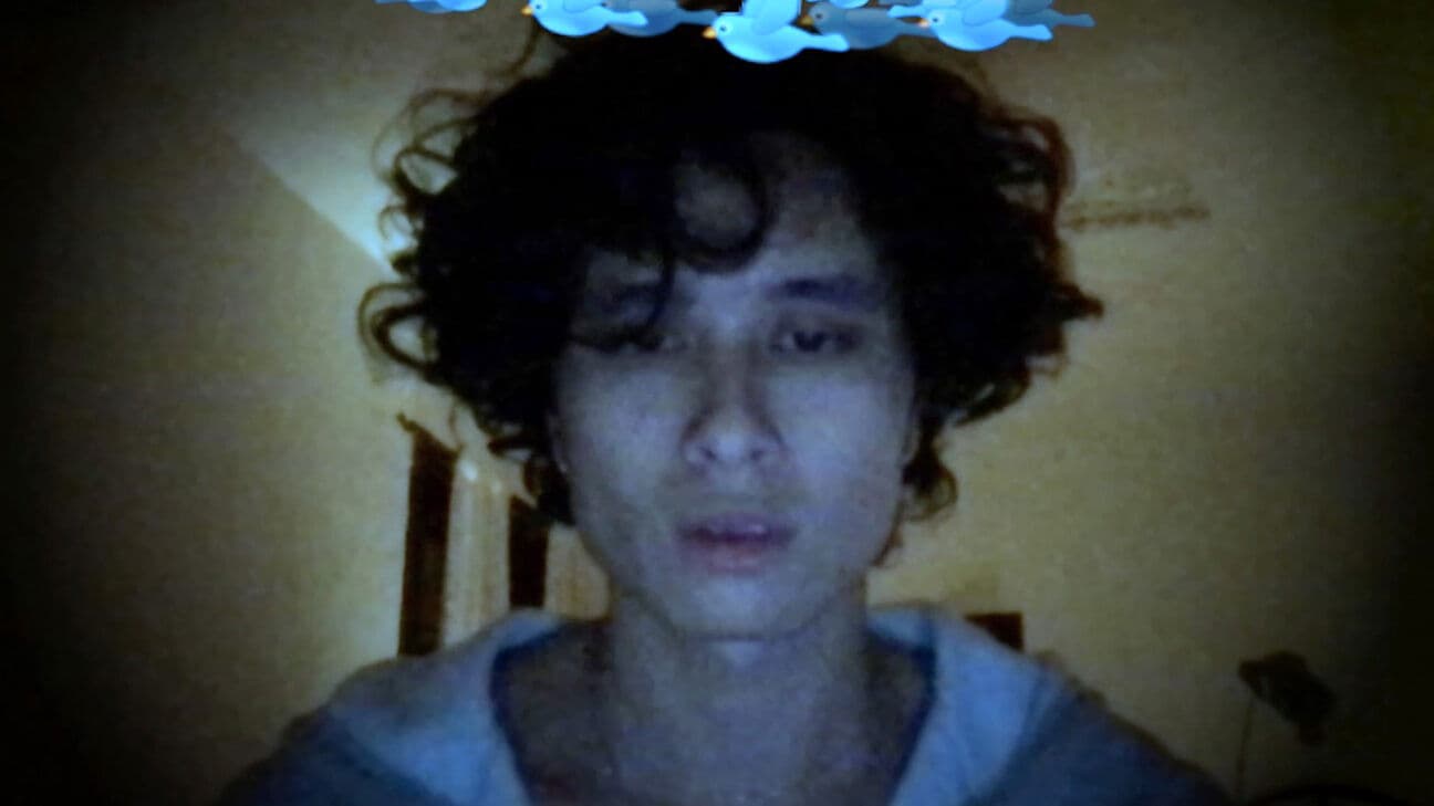 Debut, or, Objects of the Field of Debris as Currently Catalogued