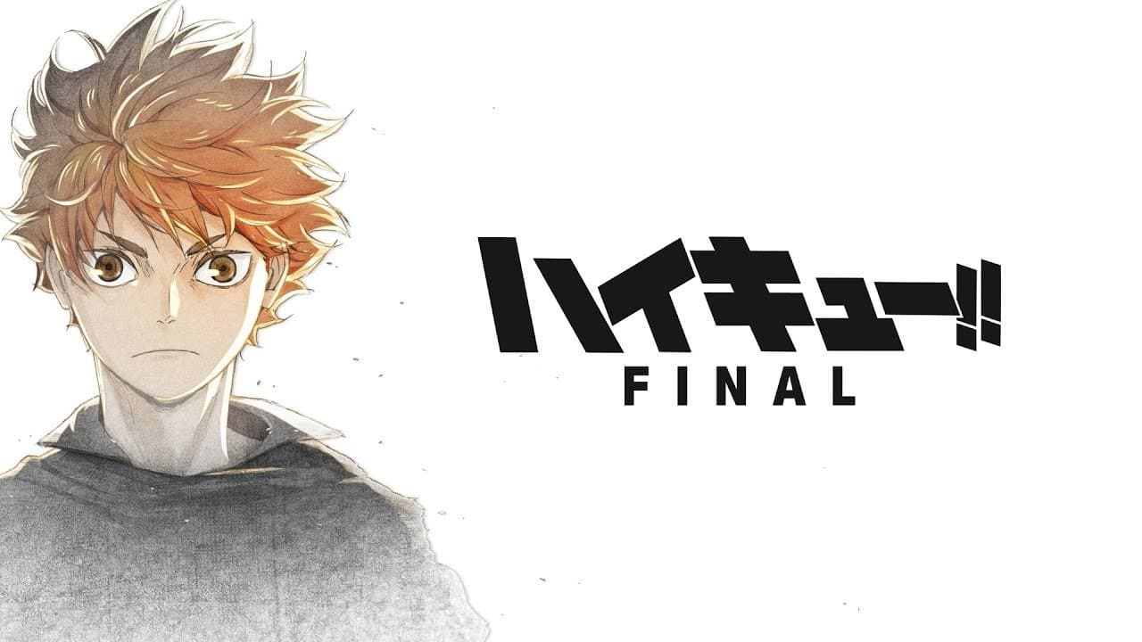 HAIKYU!! Final Arc Collection