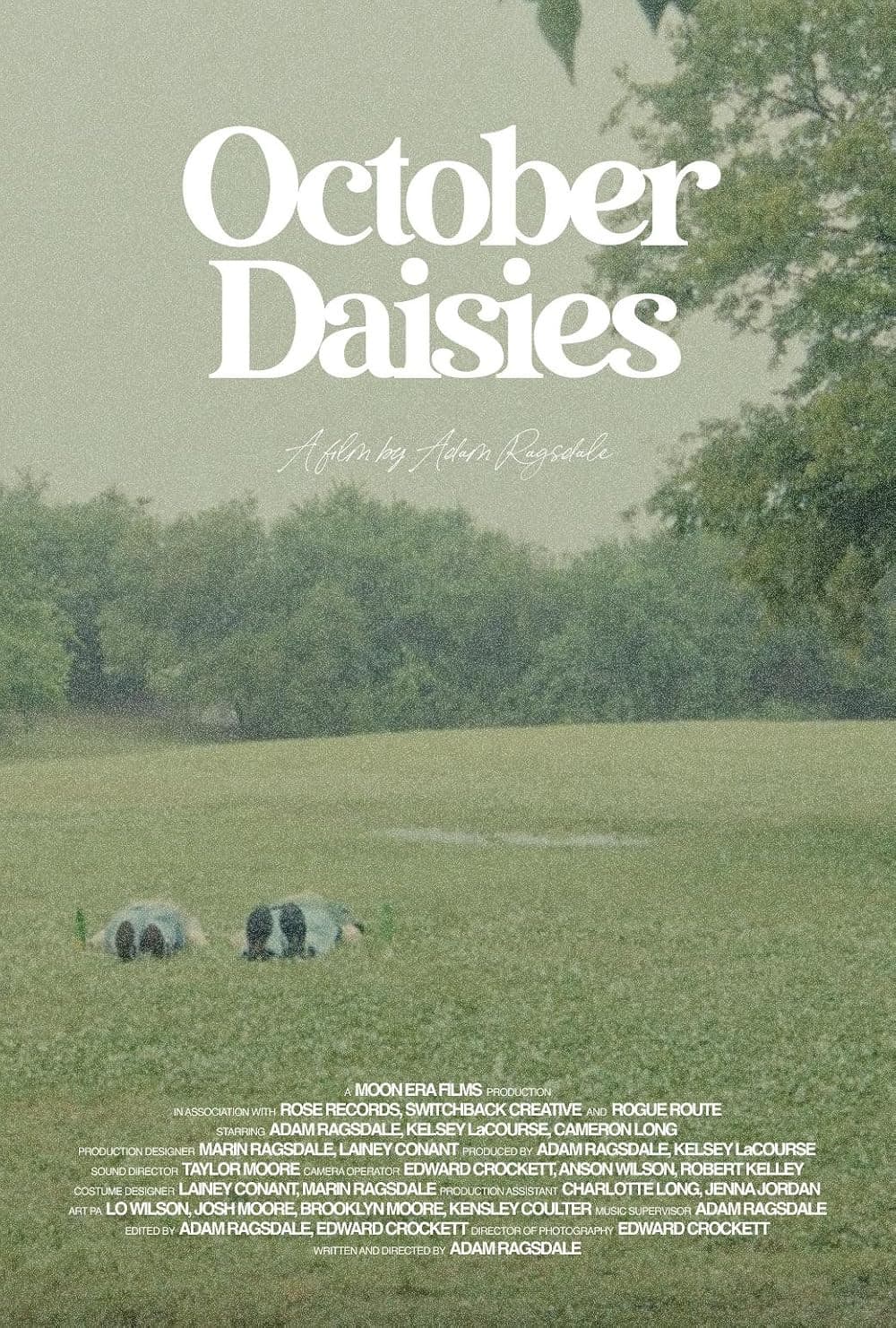 October Daisies