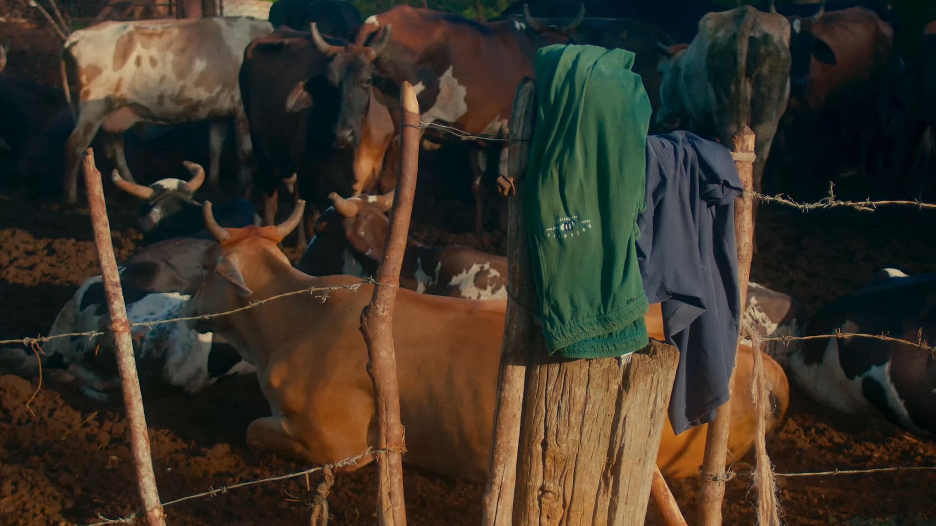 To See Myself I Close My Eyes