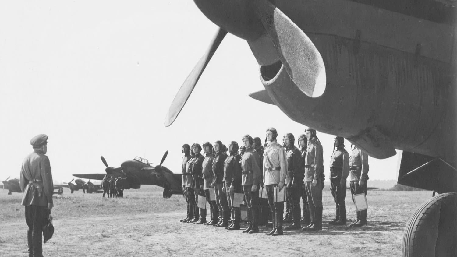 A Diving Bomber Chronicle