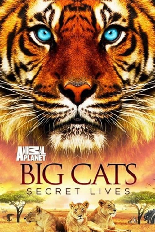 Big Cats: Secret Lives