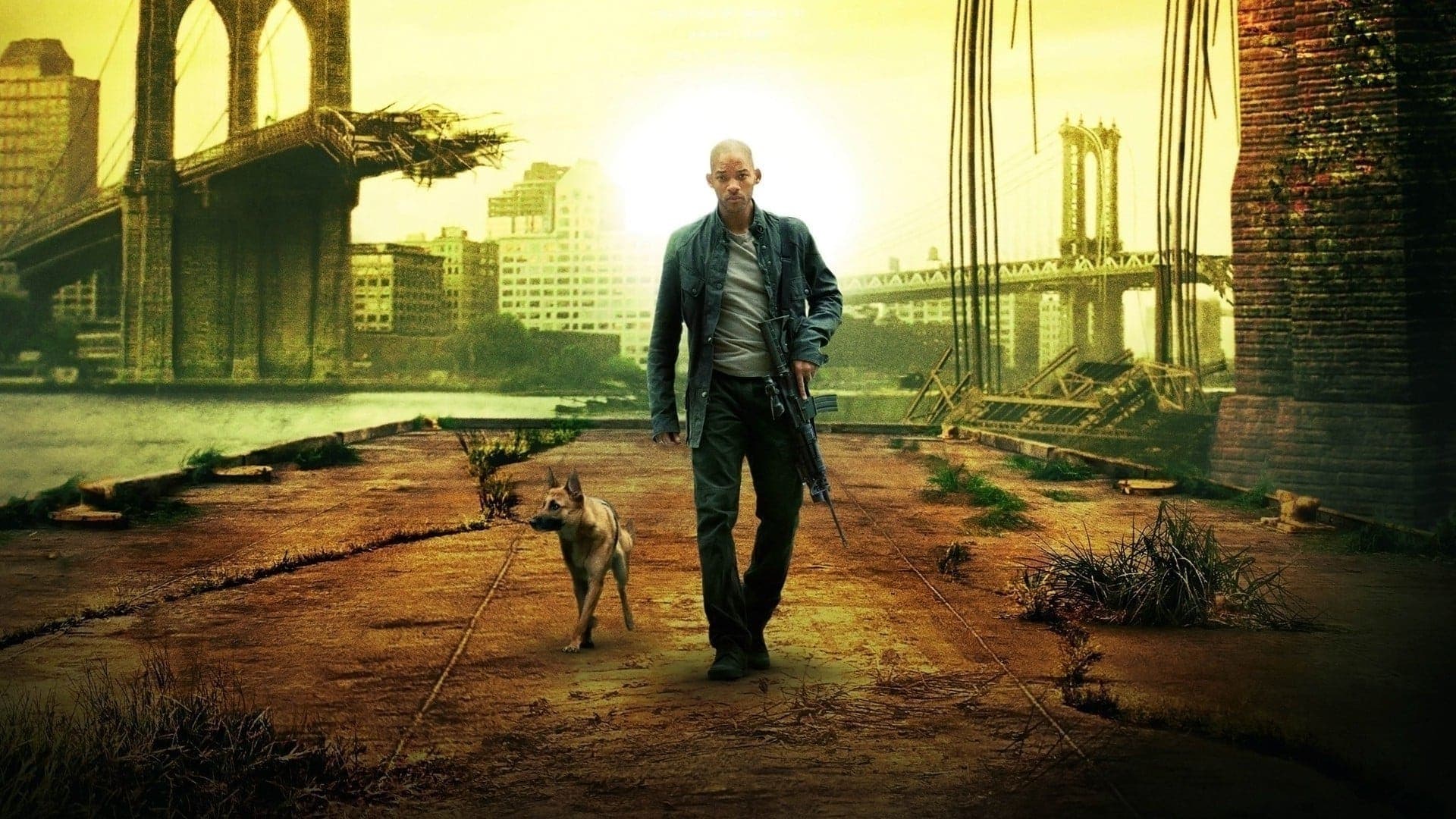 I Am Legend Collection