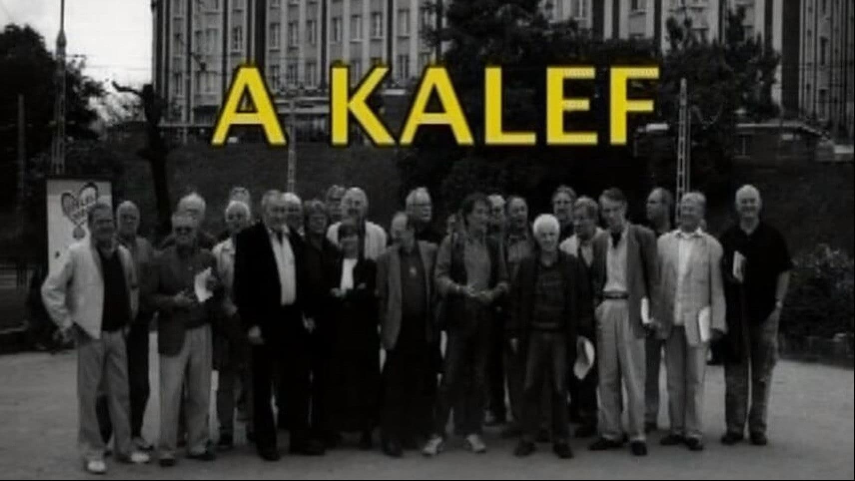 Kalef - A Moszkva téri galeri