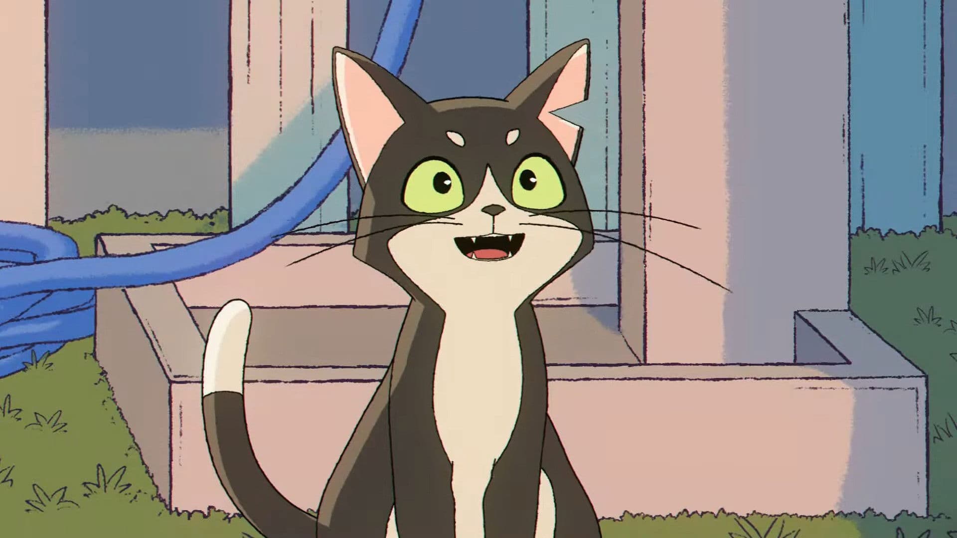 BRIDGE -My Little Friends-