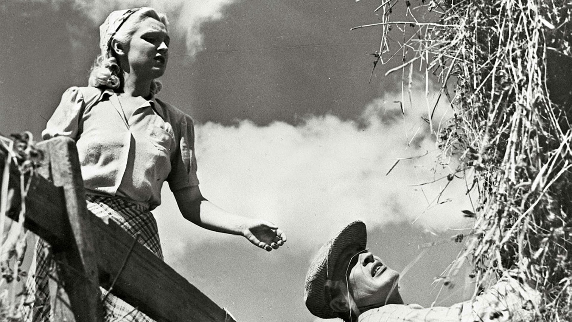 Oi, kallis Suomenmaa