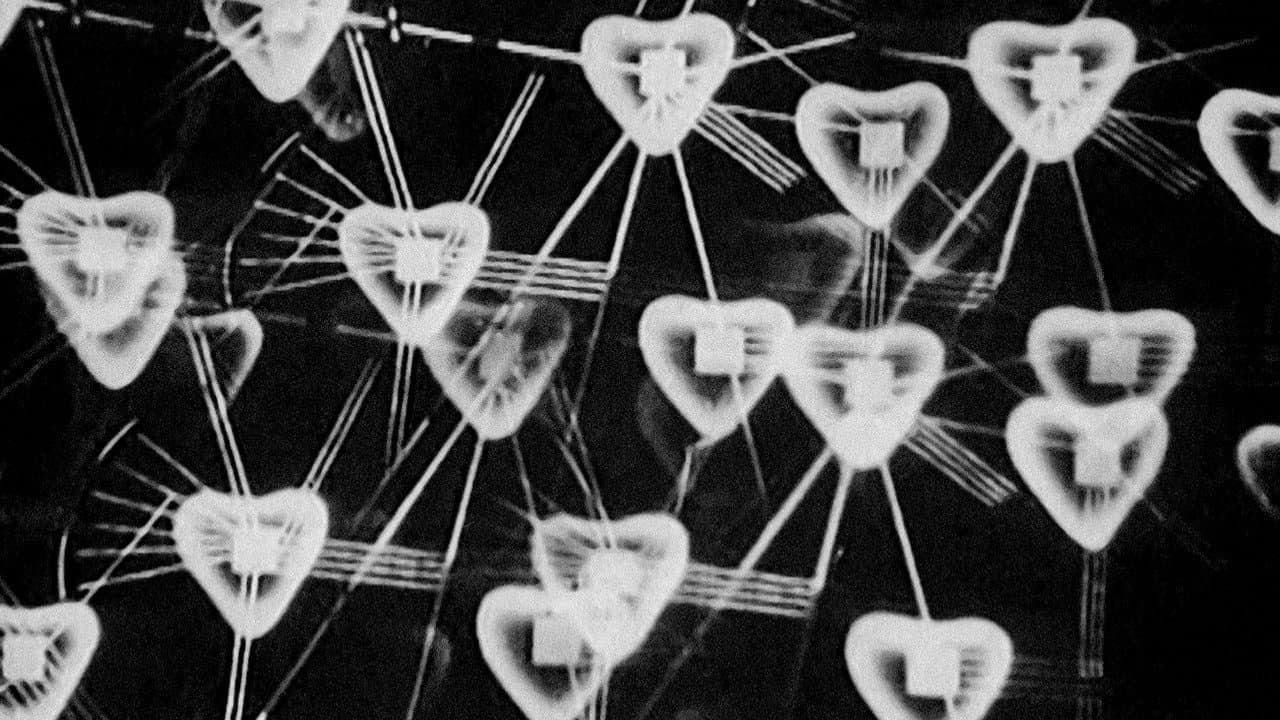 Forty Hearts