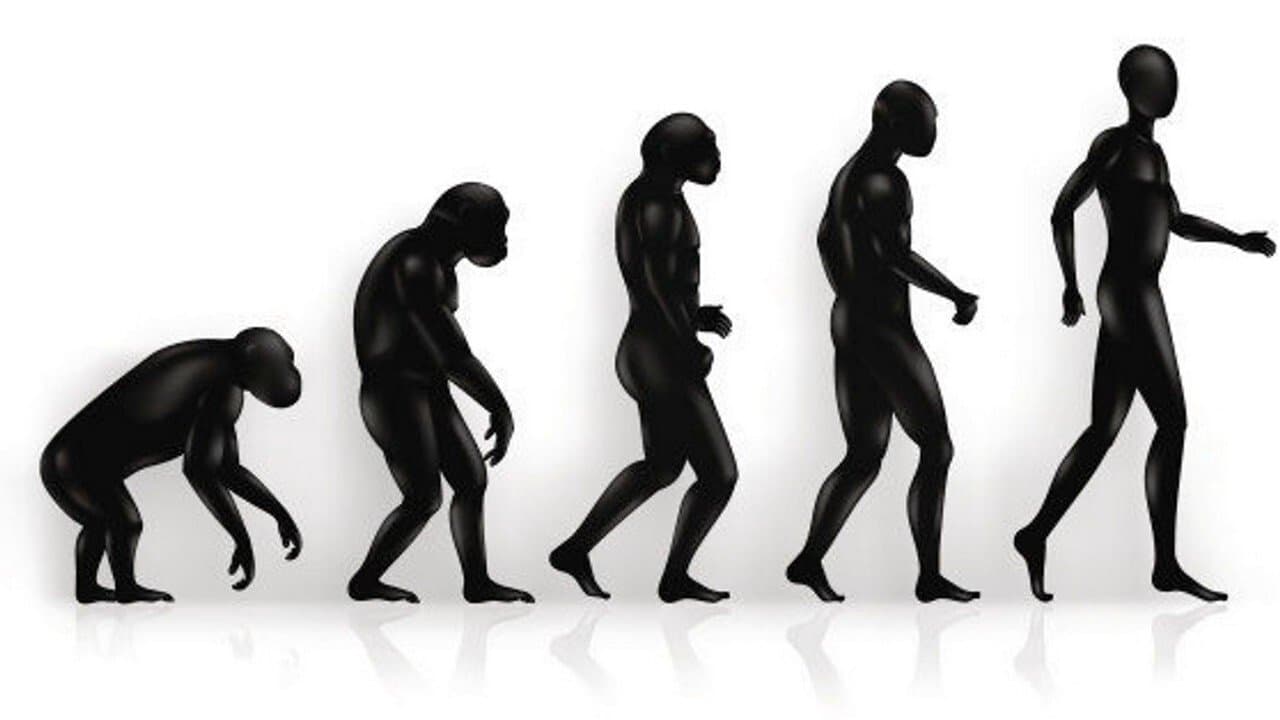 Aux origines de l'humanité