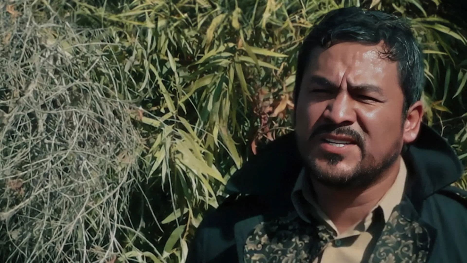 La dimensión desconocida en terror