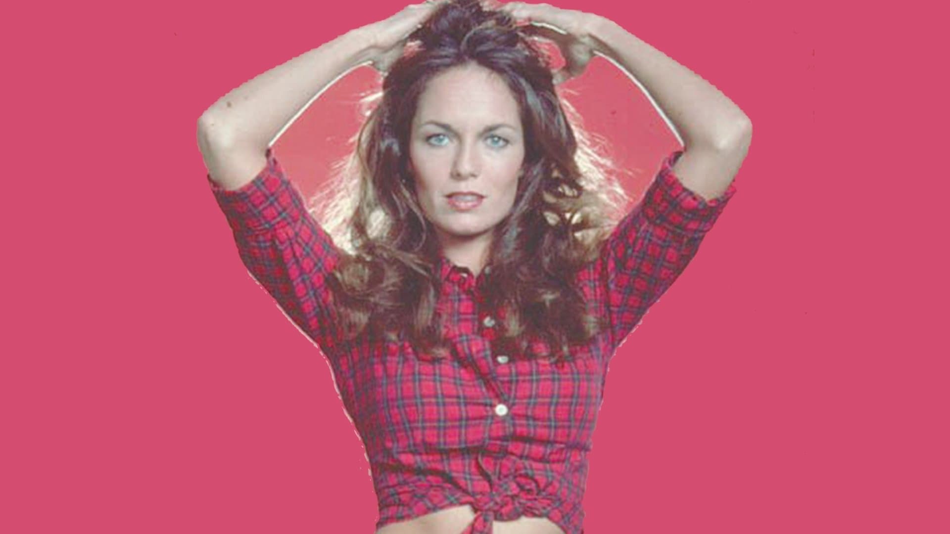 The Dukes of Hazzard Collection