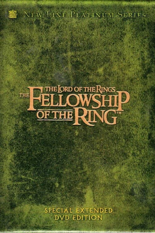The Fellowship of the Ring: Visualizing the Story