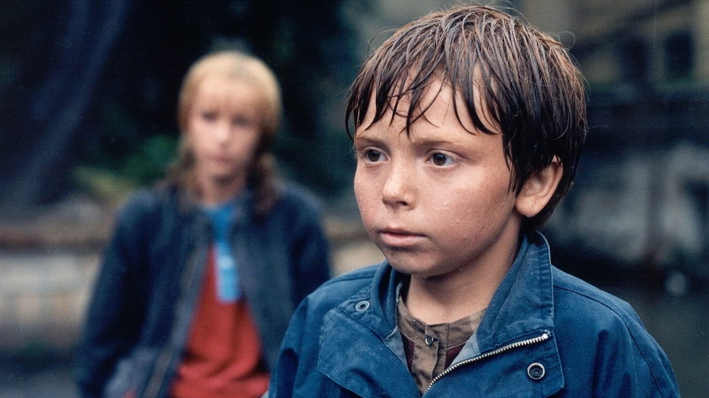 Chobotnice z II. patra (kolekce)