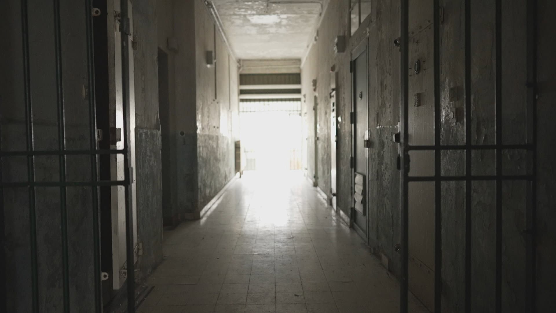 Deaths in Solitary Confinement: The Prison System's Blind Spot