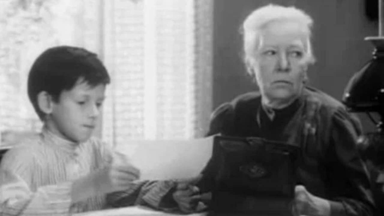 Amazing Establishment