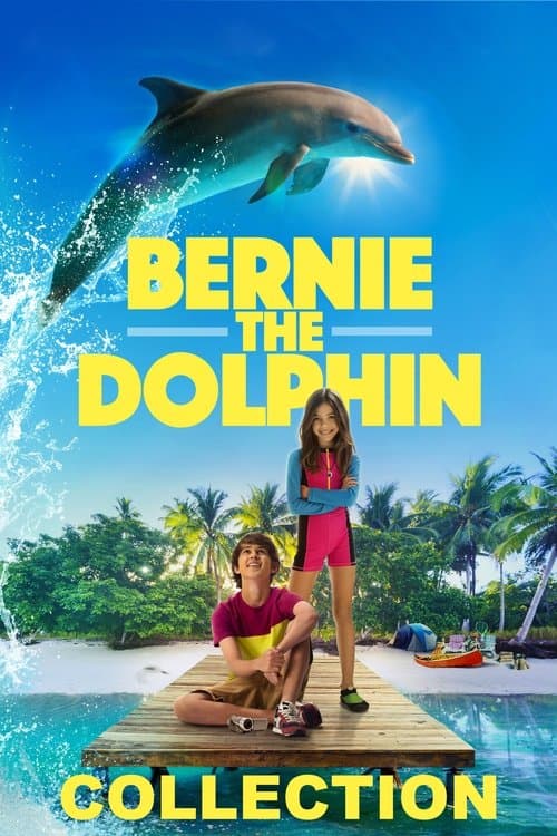 Bernie the Dolphin Collection