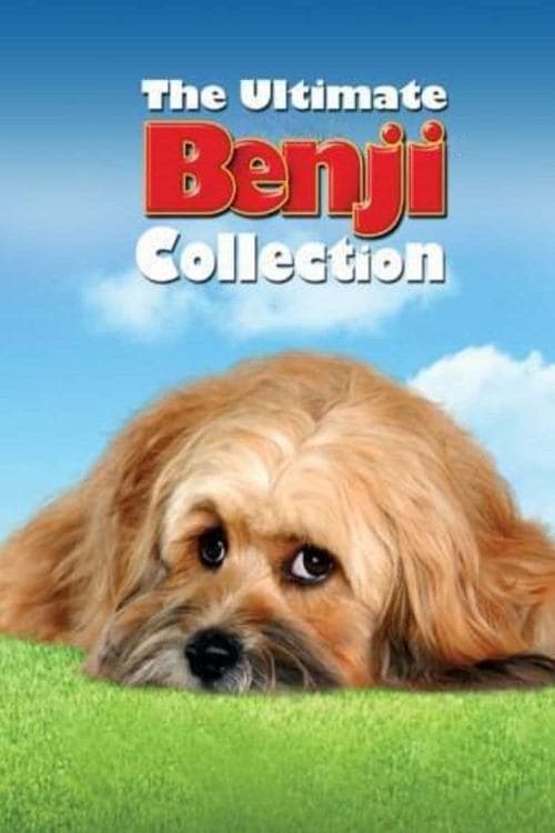 The Benji Collection