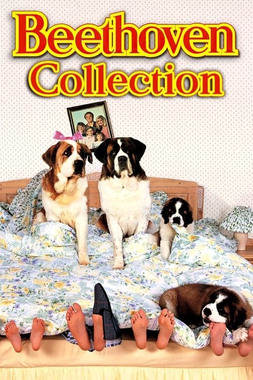 Beethoven Collection